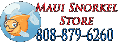 Maui Snorkel Gear and Beach Equipment Rentals